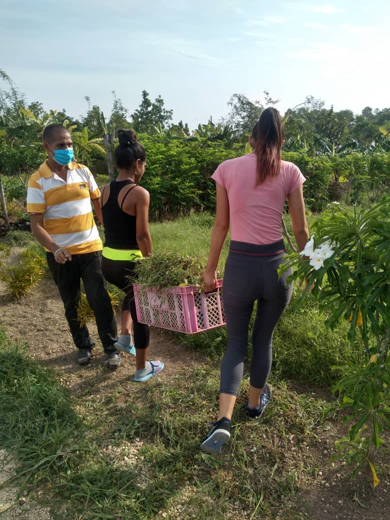 Universitarios de Granma, haciendo camino al andar en Campechuela