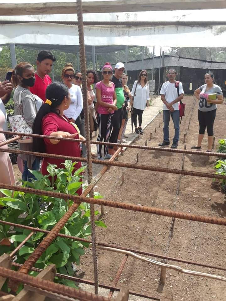 Visitan estudiantes del CUM de Guisa Estación Experimental de la INAF en el territorio