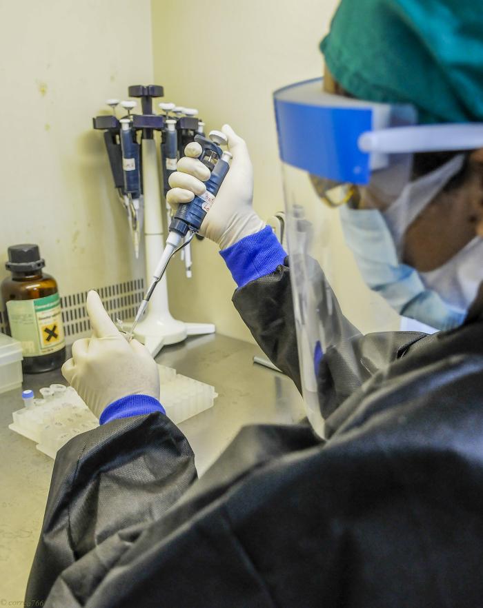 La ciencia joven en pro de solucionar problemas prioritarios del país